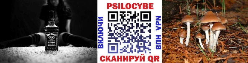 Псилоцибиновые грибы Psilocybine cubensis  блэк спрут зеркало  Пролетарск 